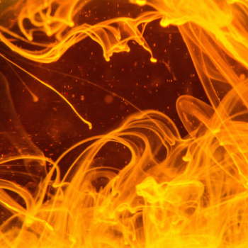 lucas-benjamin-Ih20hAlXBvw-unsplash3 lucas-benjamin-Ih20hAlXBvw-unsplash3