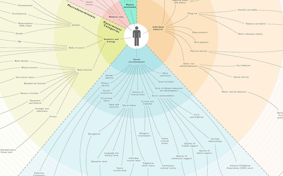 open source visualization of social determinants of health SDOH biomarkers