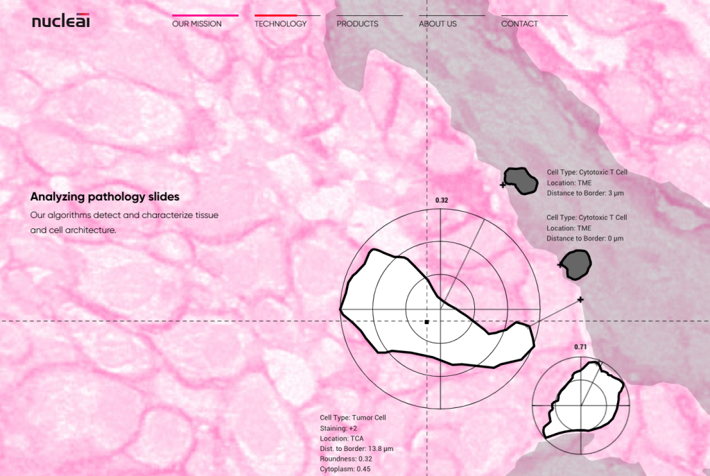 pathology biomarkers oncology prostate cancer