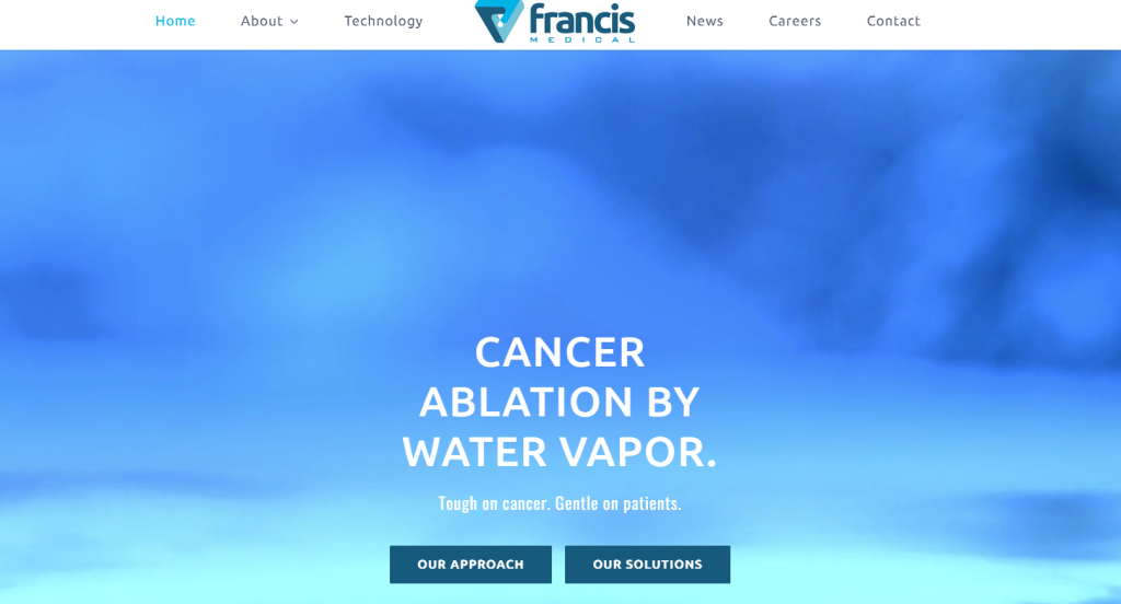 vapor ablation therapy for prostate cancer treatment
